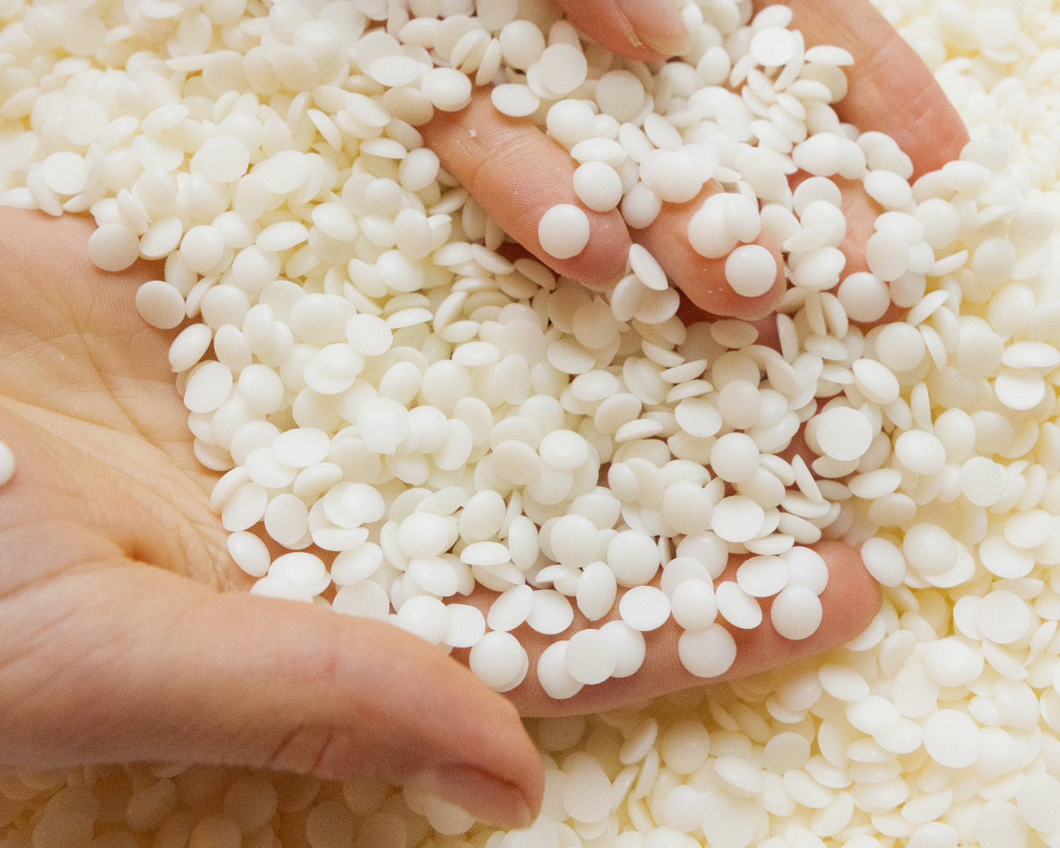 Natural soy wax pellets in hand beeswax soy blend LLIOR paraffin free